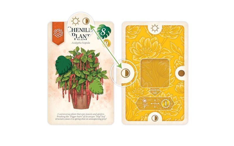 Verdant Primeras impresiones
