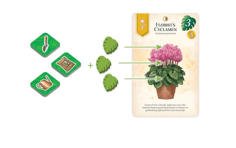 Verdant Kickstarter