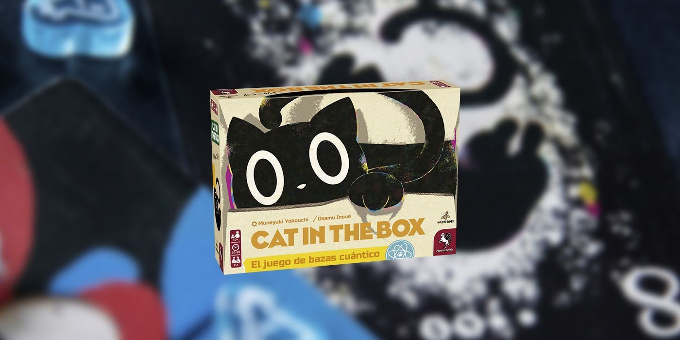 CAT IN THE BOX EN ESPAÑOL